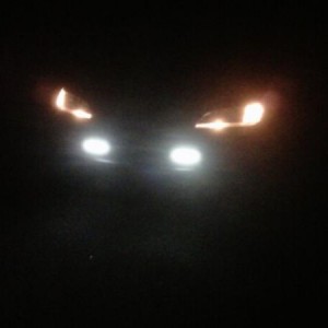 My LEDs