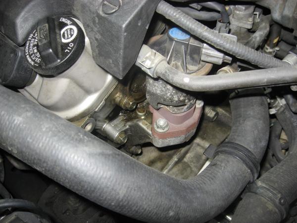 a smallish pool behind the EGR; no seepage from oil cap and valve cover gasket