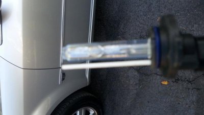 bulb1.jpg