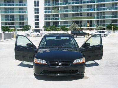 the whip.jpg
