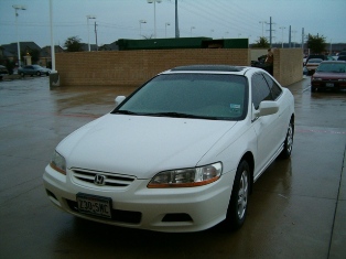 Picture 007.jpg