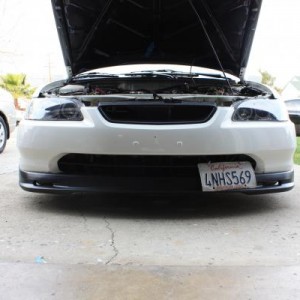 The whip