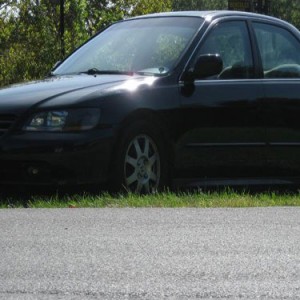 the whip