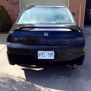 Tinting tails
