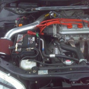 IMAGE 136[1] (2)