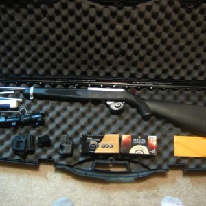 ruger 10/22