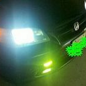 hid fogs