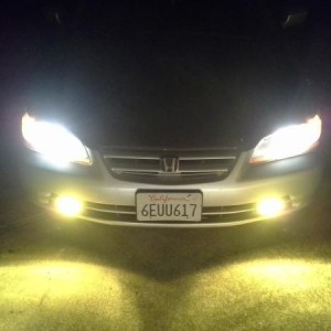 New fogs.