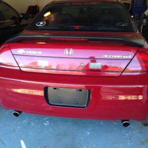 Plasti dipped Licence plate indintion
