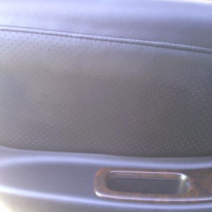 Perforated Leather Accord