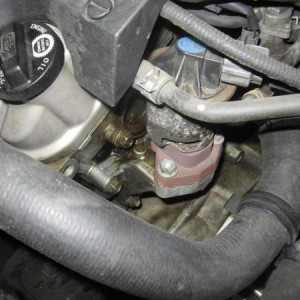 a smallish pool behind the EGR; no seepage from oil cap and valve cover gasket