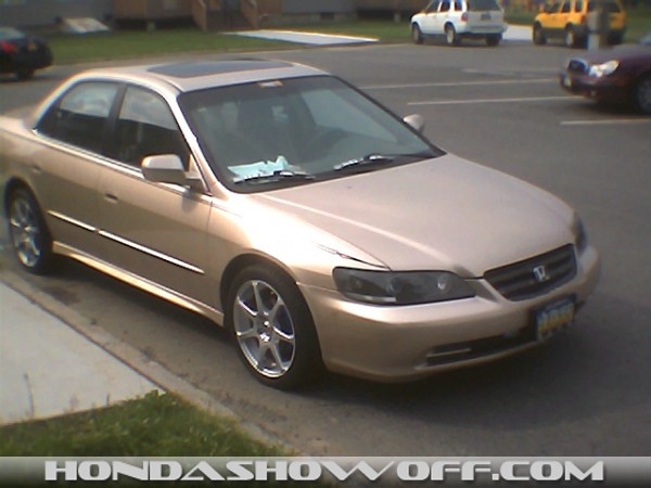 2001 Accord Napleds gold, ebay halo's painted grill. My first site was Hondashowoff.com