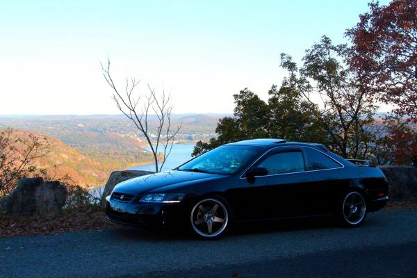 Bear Mt.