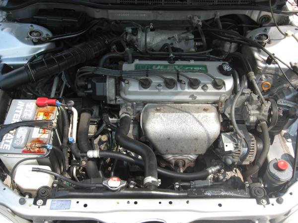 DIY: How to Clean an Engine Bay 