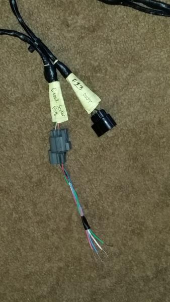 F20B dizzy wiring up with F23 Accord engine wiring harness
