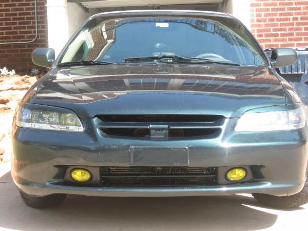 Fresh Fogs