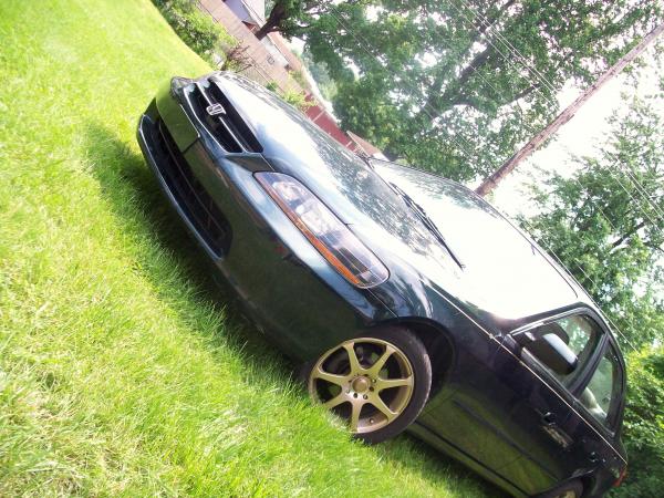 gold tan rims