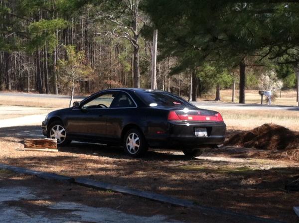 Hanging in the front yard.