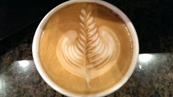 Near symmetrical rosetta (paper cup)