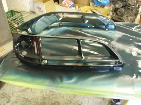 Painted headlights to match