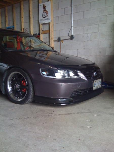 Shotta # 4