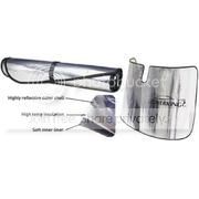 sunvisor1.jpg