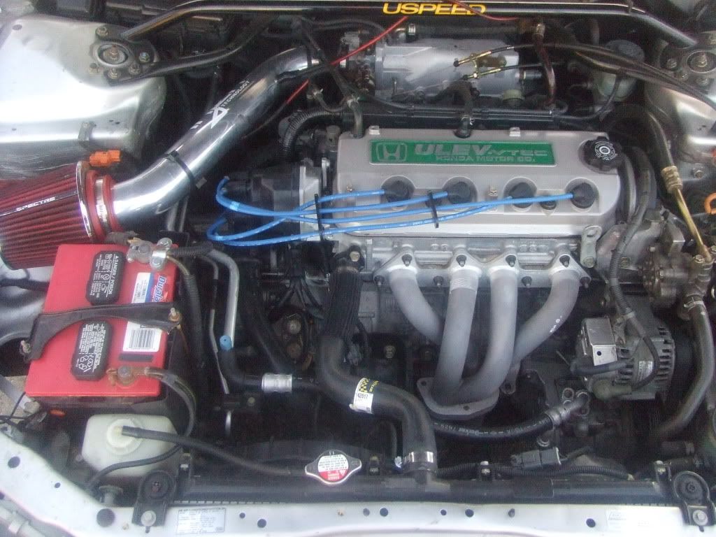 2010_0321Image0071.jpg