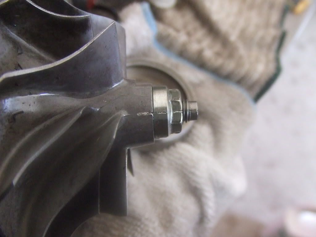 DSCF3505.jpg