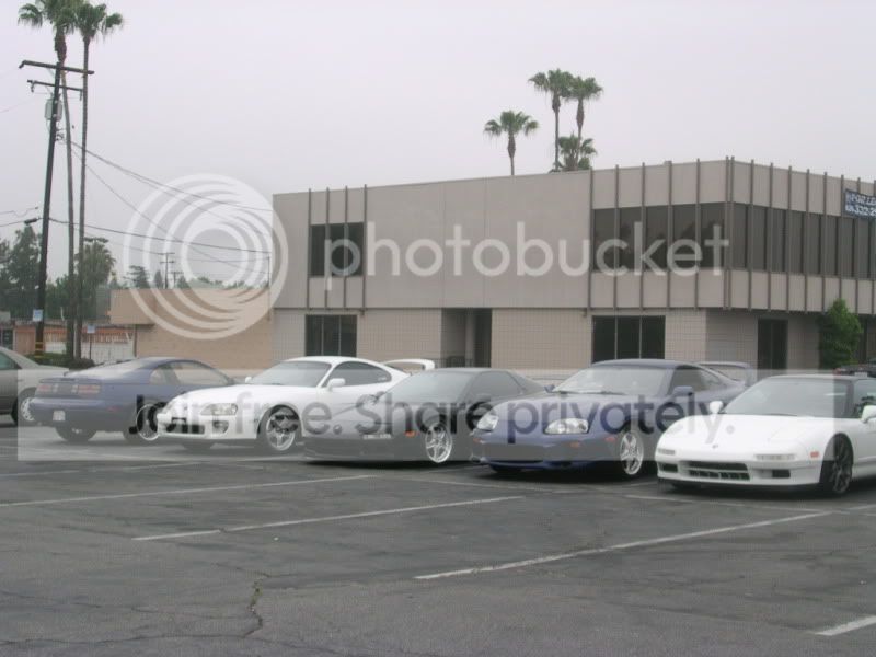 Picture037-1.jpg