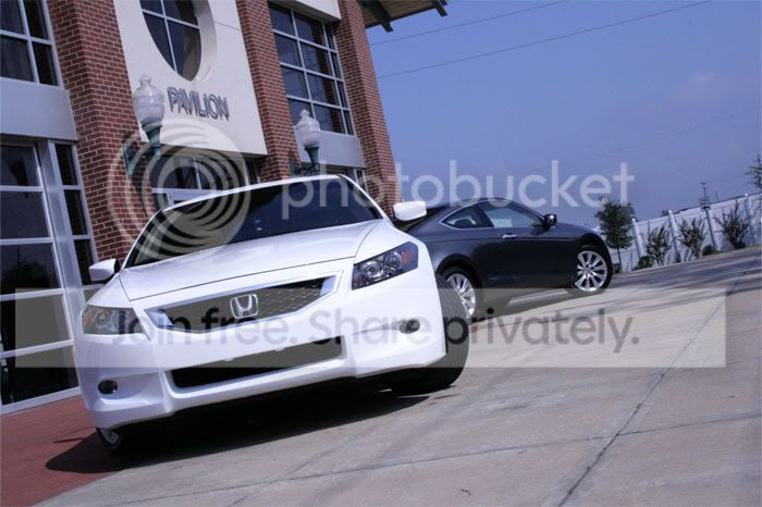 IMG_0713copy.jpg