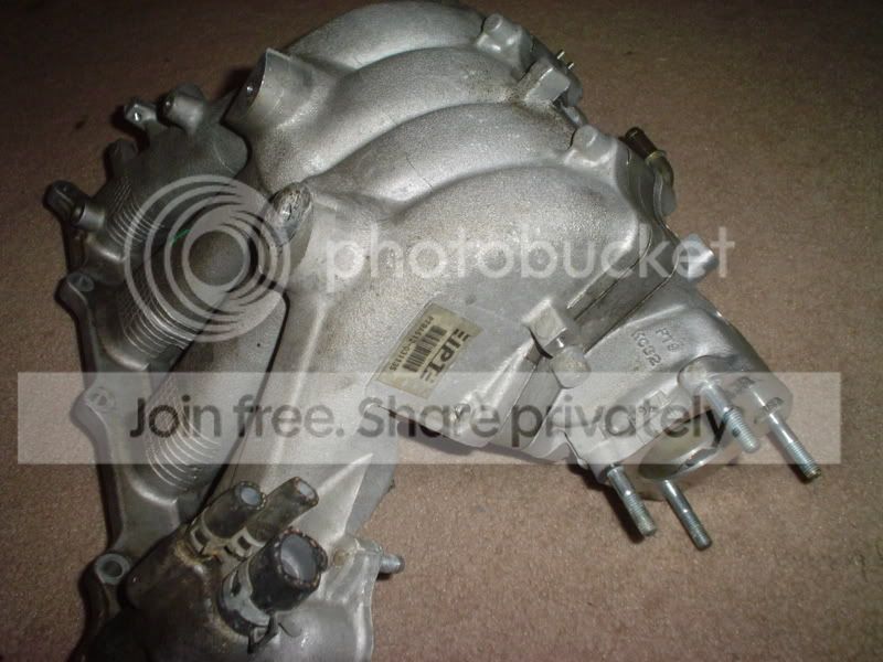 f22a6Mani005.jpg