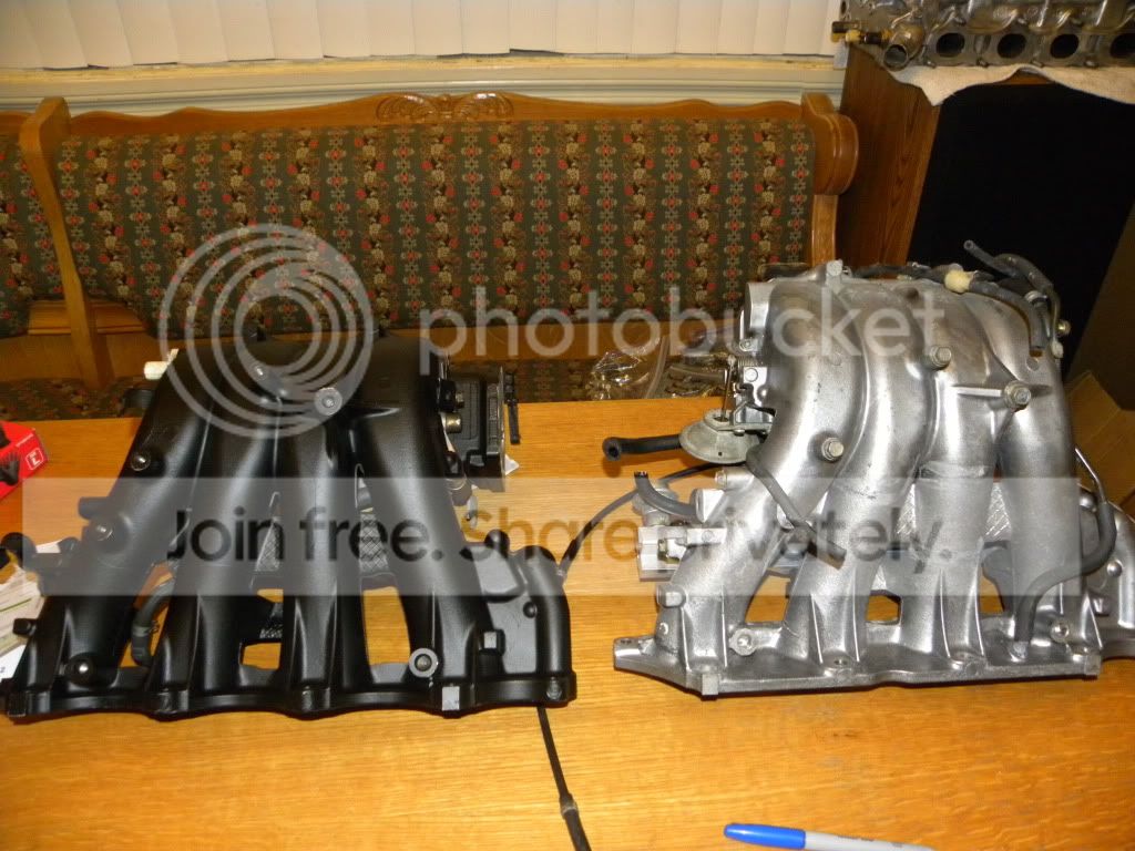 DSCN9951.jpg