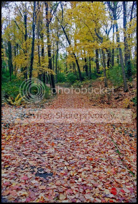Fall011a.jpg