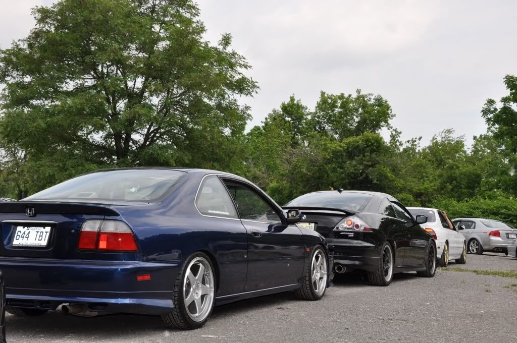 DSC_0214.jpg