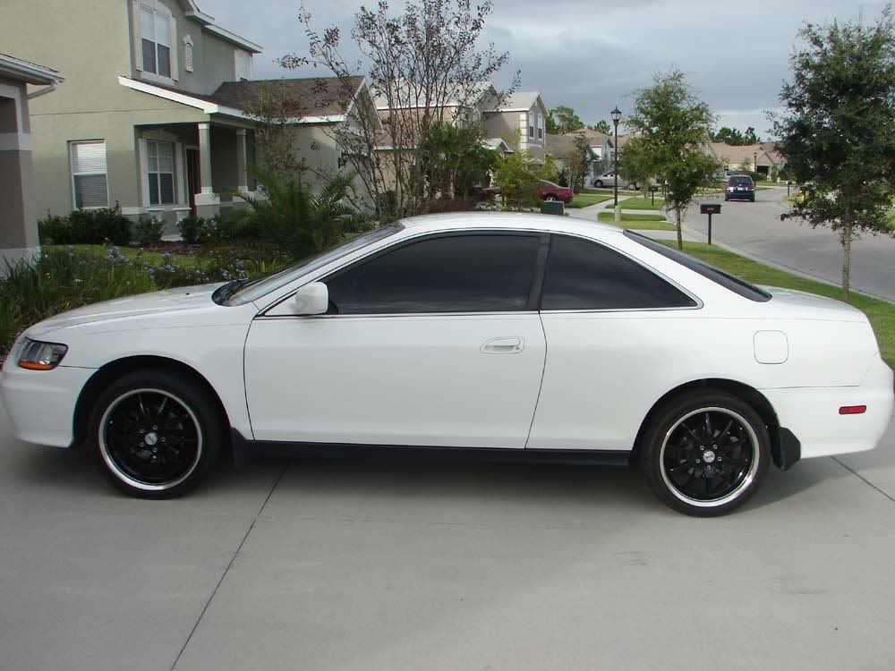 micoche002.jpg
