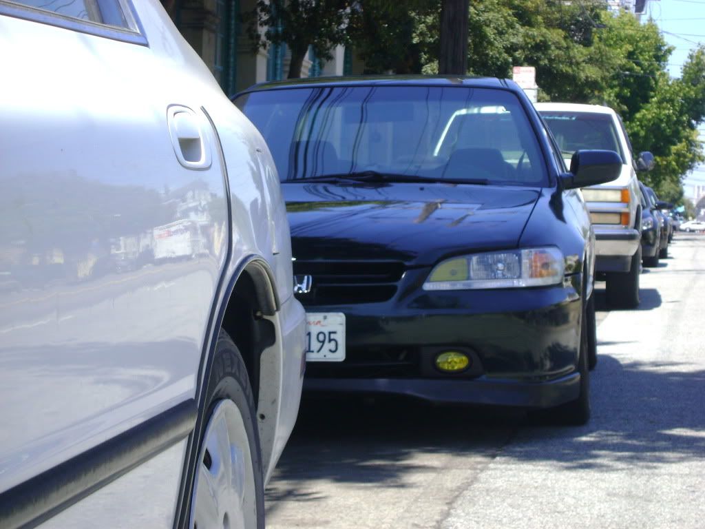 lemon009-3.jpg