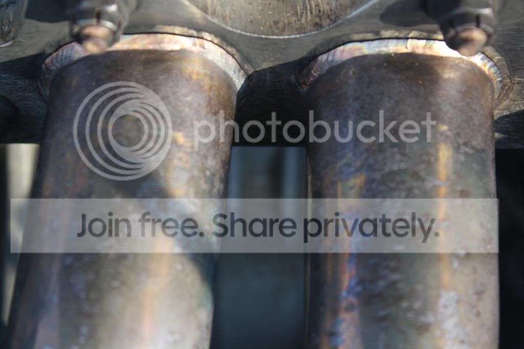 IMG_0233_zps576a6e63.jpg