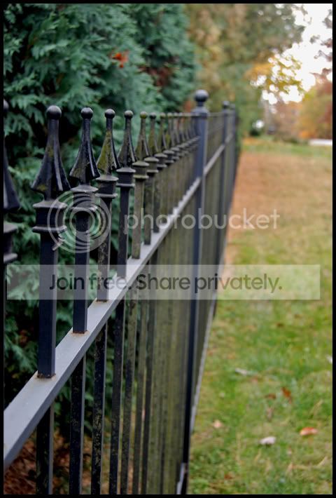Fall067a.jpg