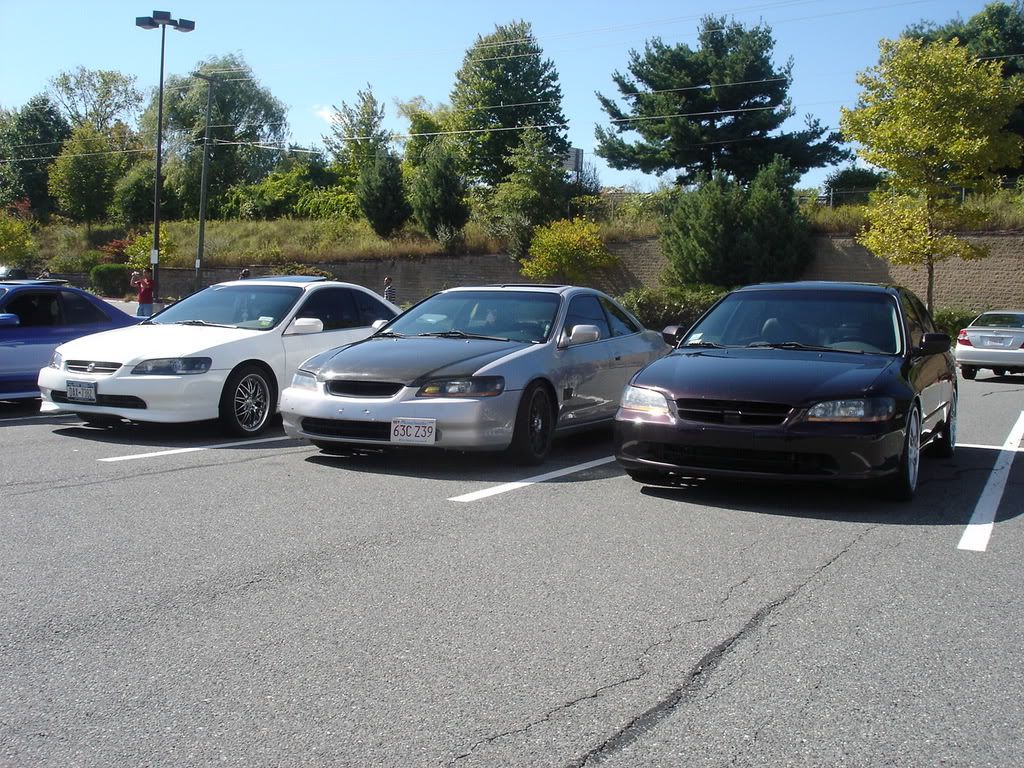 DSC08032.jpg