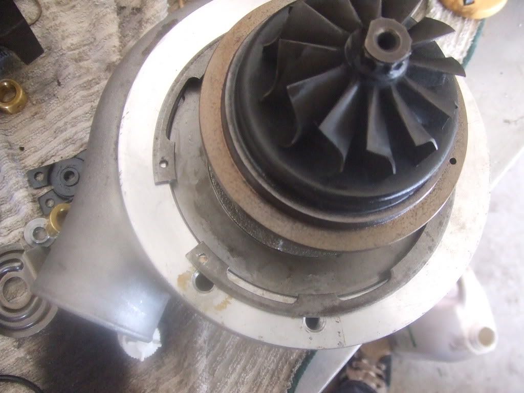 DSCF3508.jpg