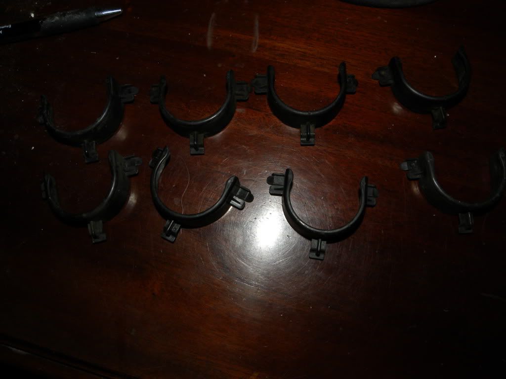 DSCN9783.jpg