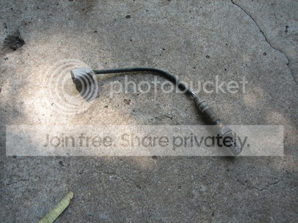 IMG_7799.jpg