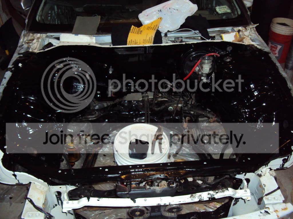 DSC00715-Copy.jpg