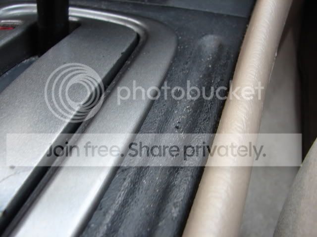 mypics002.jpg