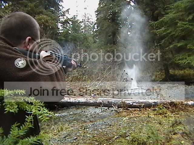 woods015.jpg