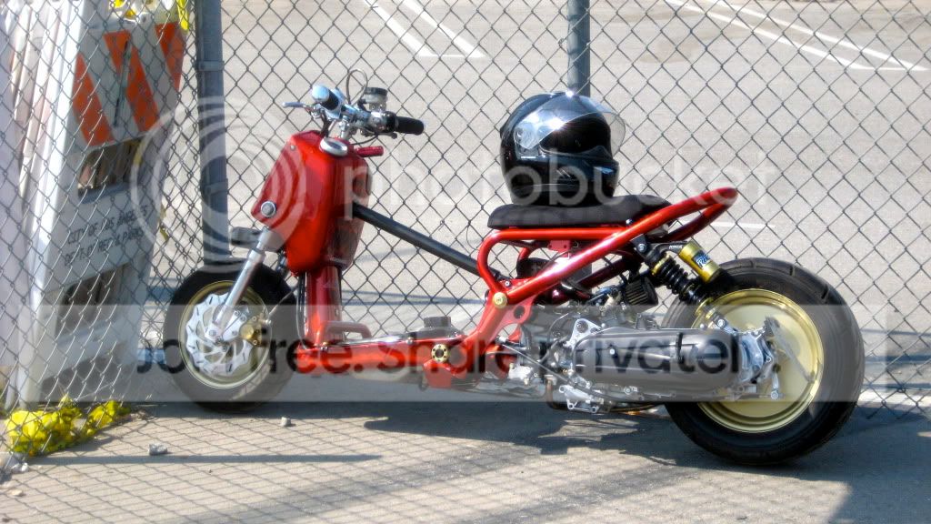 IMG_3898.jpg