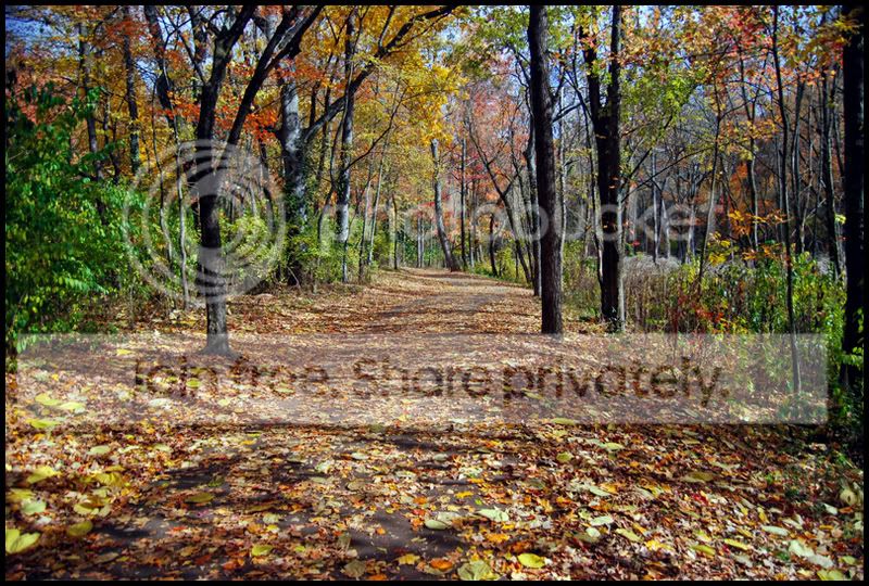 Fall001a.jpg