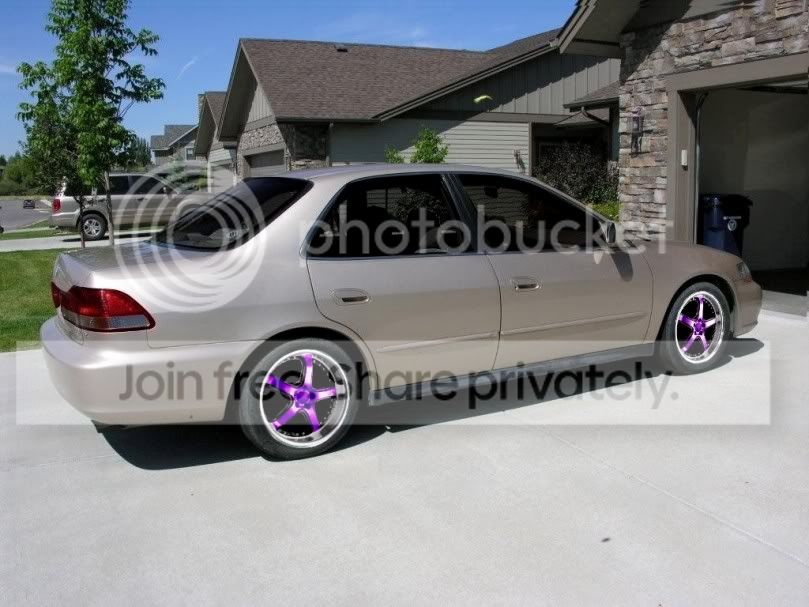 HondaAfterpurple.jpg
