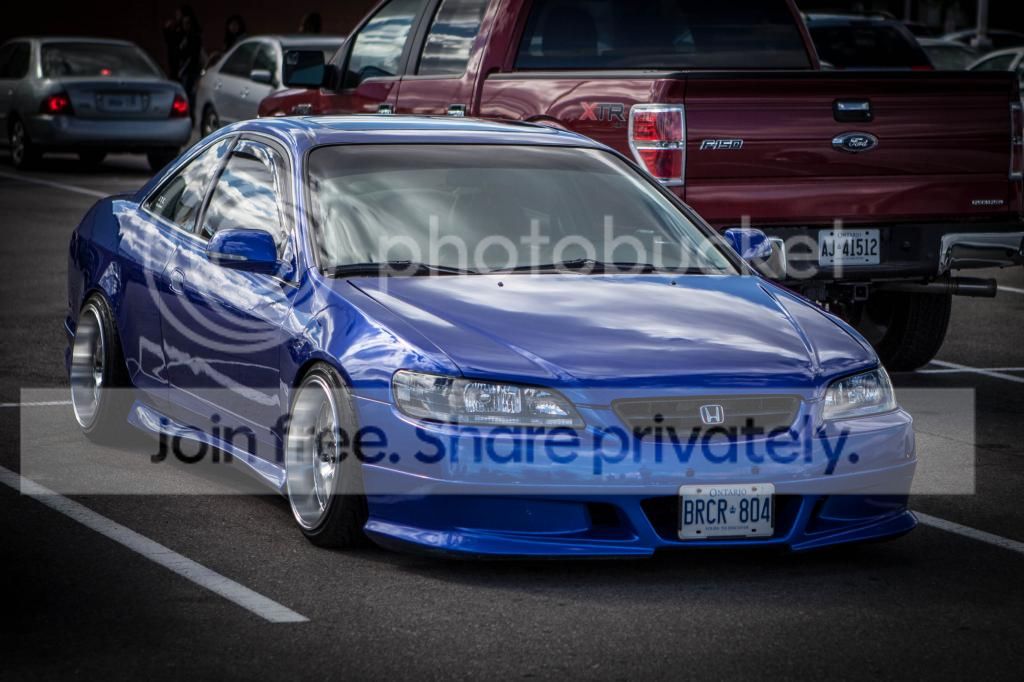 IMG_2559_zps7ed9ab56.jpg