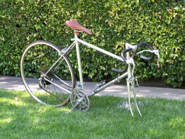 mynewbike010.jpg